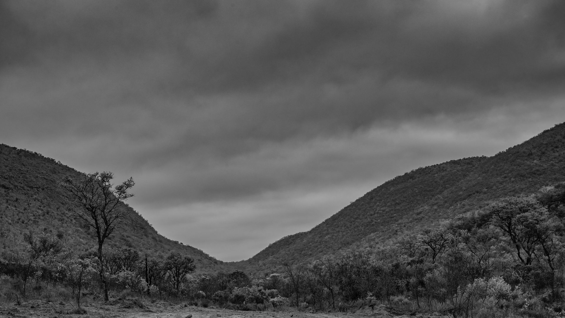 lodging hotel camp campsite limpopo south africa